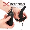 PLUG ANAL VIBRADOR CON CONTROL
